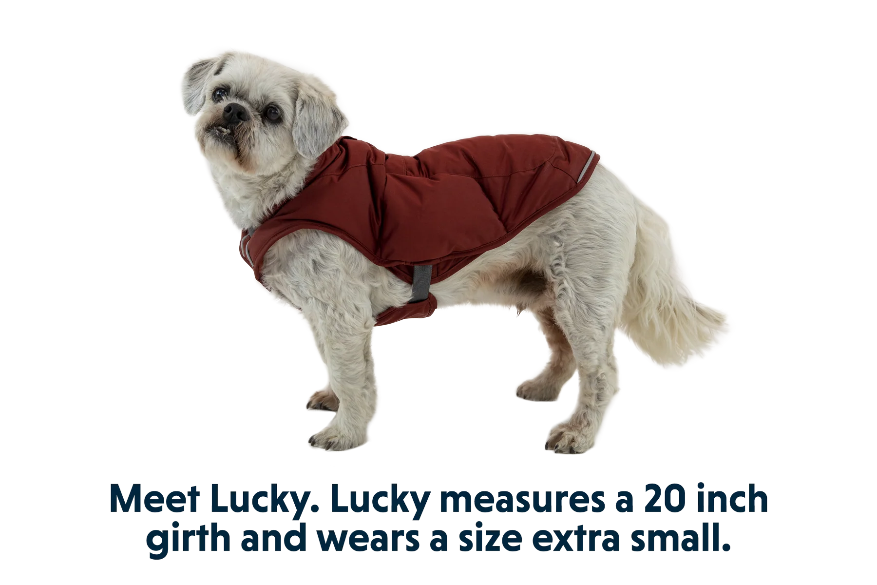 Product image 31